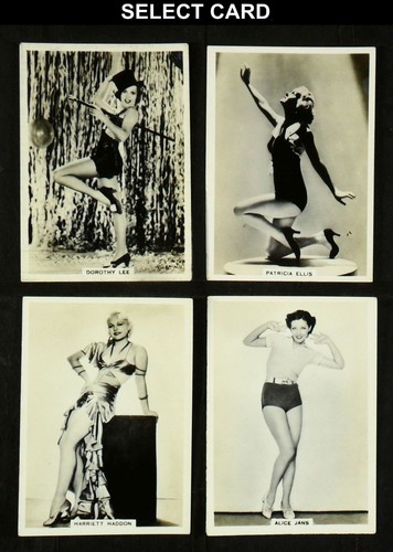 Modern beauties t bat - b.a.t,
