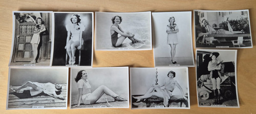 Modern beauties 5th series - modern,